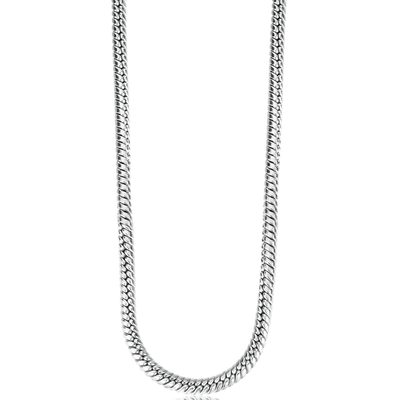 Silver chain necklace on a white background