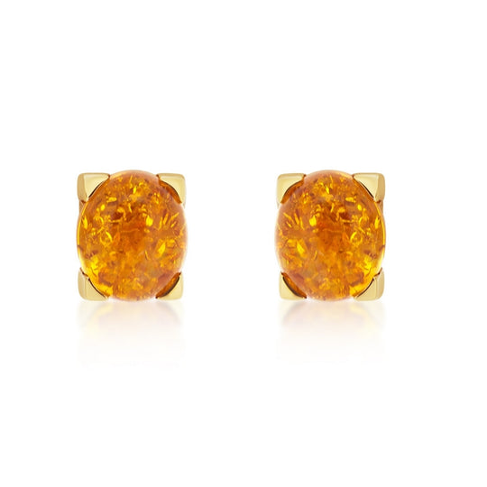 14ct Yellow Gold Amber Earrings